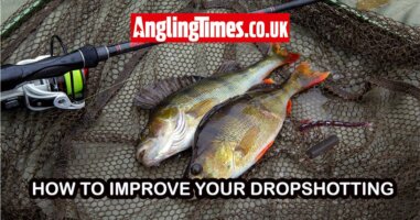 How to use the dropshot method | tackle and tips