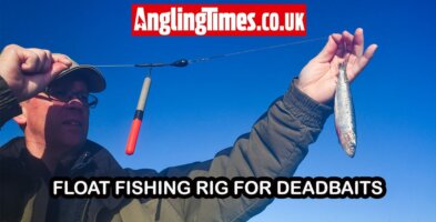 Effective deadbait float fishing rig for pike