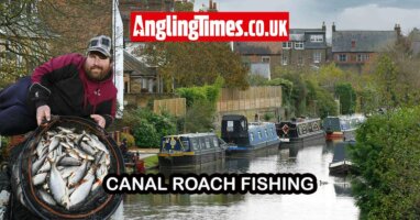 Autumn canal roach fishing