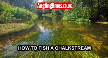 A guide to fishing chalk streams