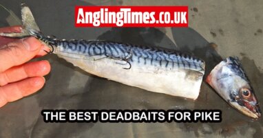 Fishing for pike | How to choose the best deadbaits