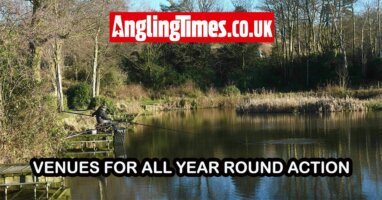 Fishing near me: Venues for year round action