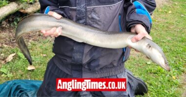 Huge eel leaves angler trembling with excitement