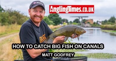 How to feed to catch bigger fish on the canal | Matt Godfrey