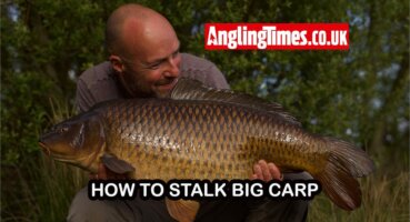 How to stalk big carp in the margins | Adam Penning