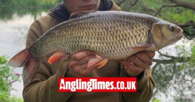 Carp tactics fool enormous chub