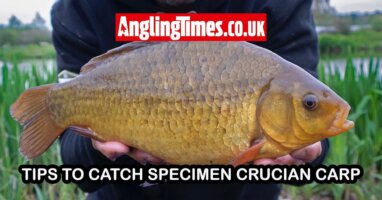 Six brilliant tips for catching big crucian carp