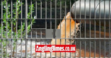 UK water bosses could face prison time for polluting waterways