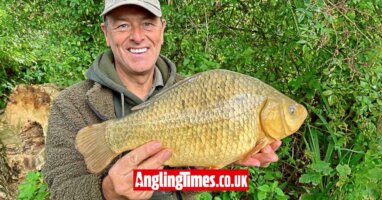 Huge crucian carp caught on unusual bait