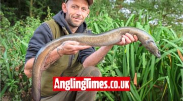 100 night blank ends with giant eel capture