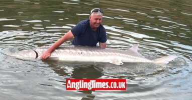 9-foot sturgeon landed on a tiny hook and 10ft rod