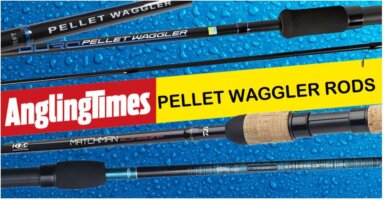 The best pellet waggler rods under £100