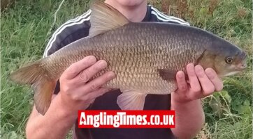 Record shaking ide banked on a spinner