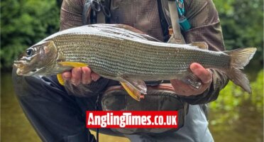 Superb grayling capture leaves angler shaking