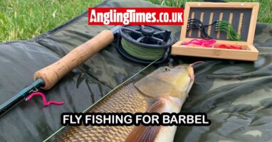 How to catch barbel on the fly | James Jennings