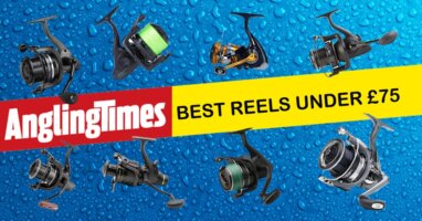 The best reels under £75