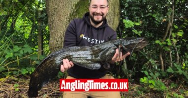 Canal catfish tows lure angler half-a-mile