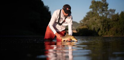 Hal, fénykép és tisztelet