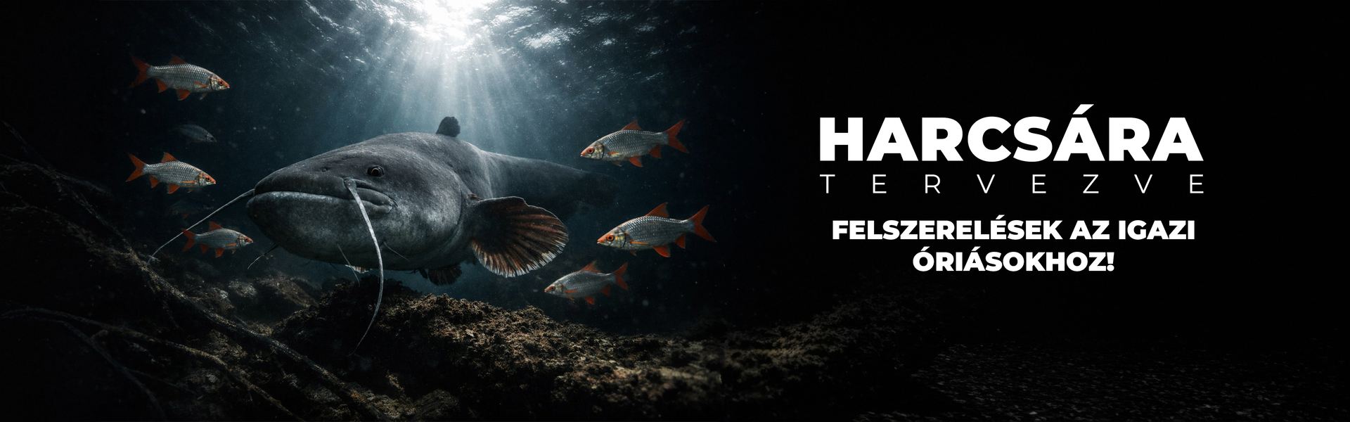 Tavaszi harcsahorgászat