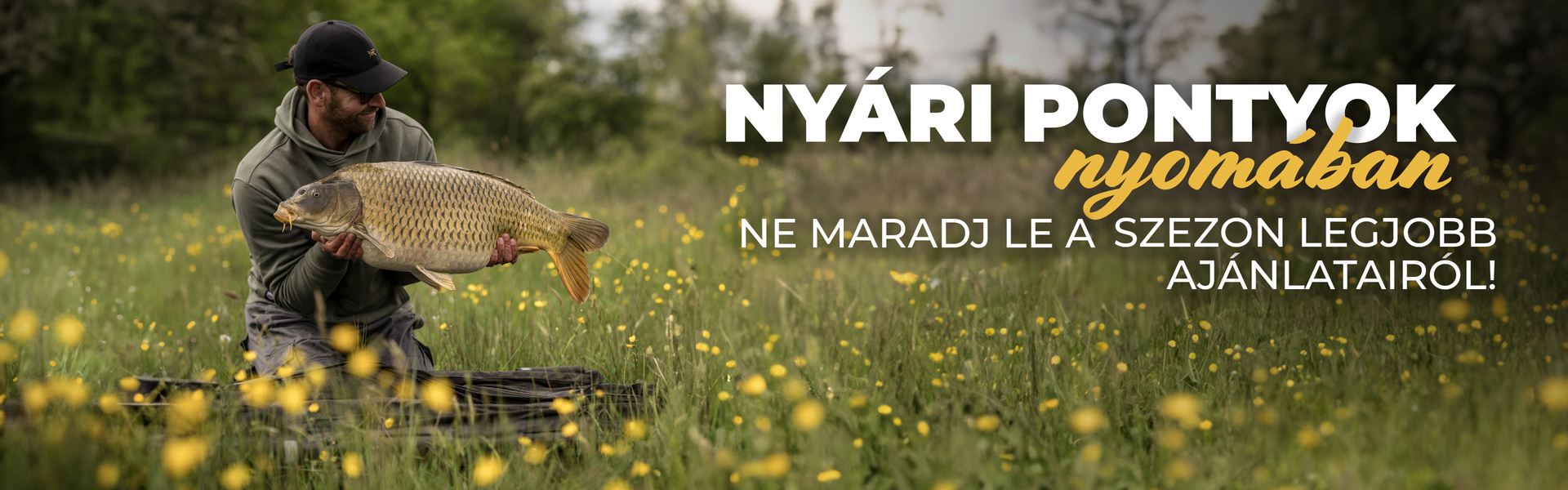 Nyári pontyok nyomában