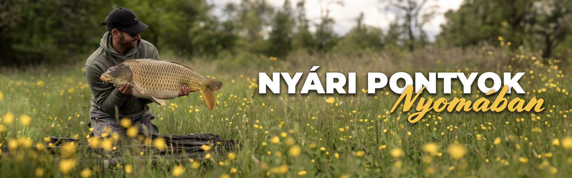 Nyári pontyok nyomában