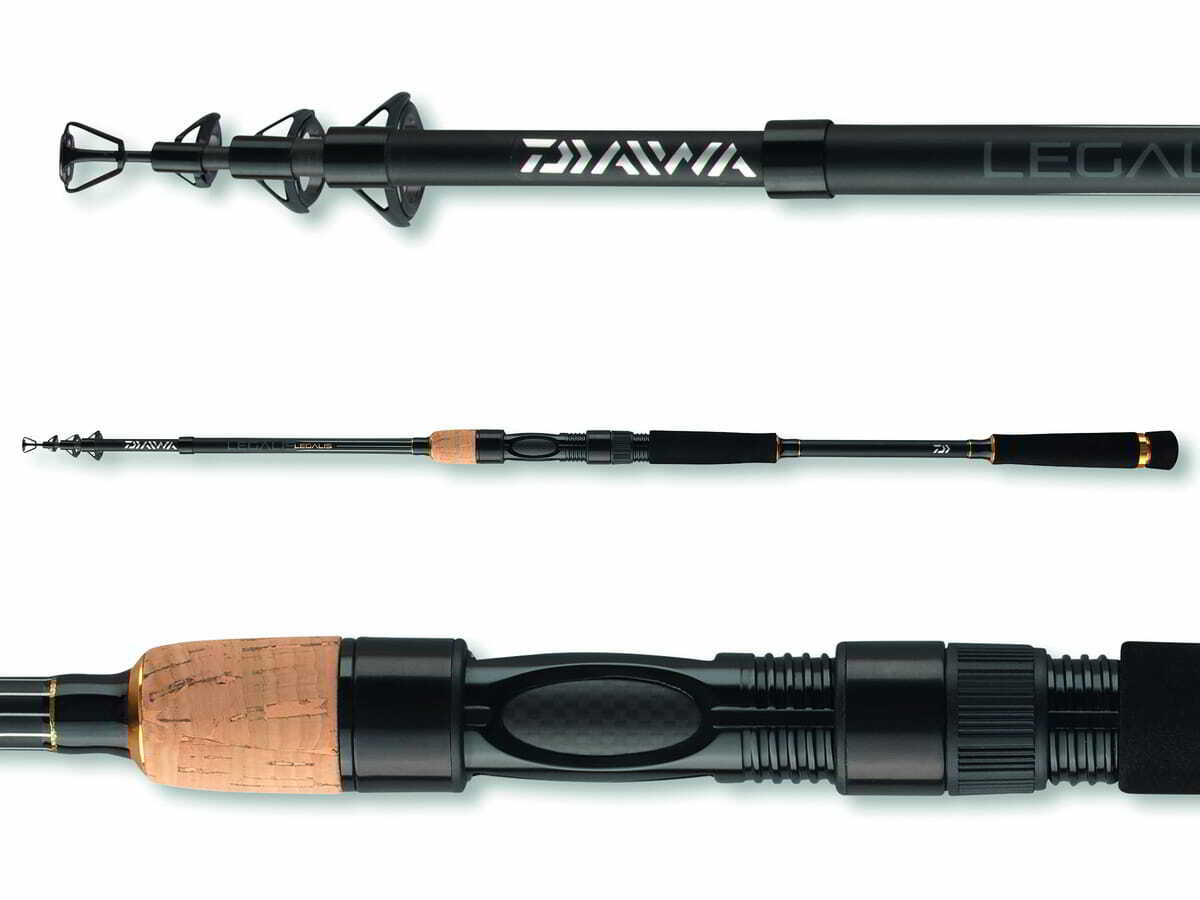 Canne à Pêche Télescopique Daiwa