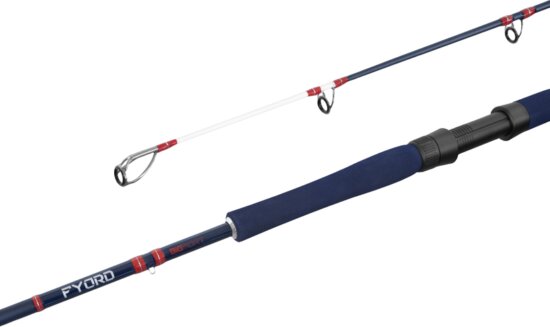 Delphin FYORD BigBOAT 200cm/300-400g/2rész