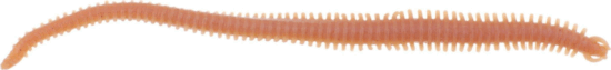 Berkley Gulp! GULP ALIVE HLFP NEREIS 6 Brown Blue Fleck gumihal