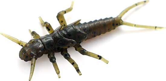 FISHUP Stonefly 0.75" (12pcs.), #043 - Watermelon Brown/Black