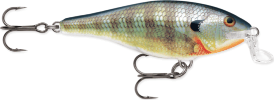 Rapala Shallow Shad Rap SSR09 BG Bluegill wobbler