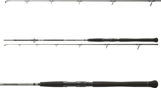 Daiwa Powermesh Catfish Spin 902HFS (2sct, -135g, 2.70m)