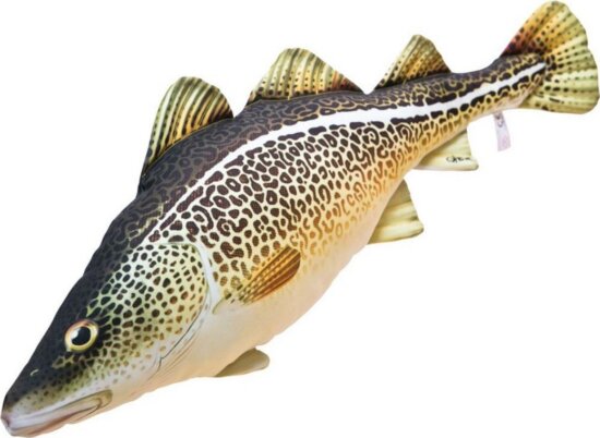 Pillow The Atlantic Cod 75Cm