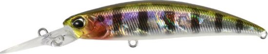 Duo Spearhead Ryuki 70mdsp 7cm 5.6g Ada3058 Prism Gill