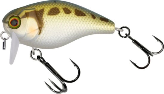 Illex Chubby SSR 4,1cm Tonosama