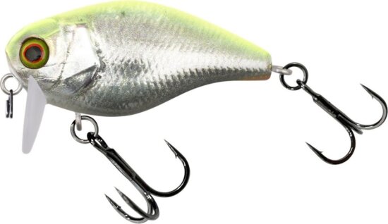 Illex Chubby SSR 4,1cm RT Visible Roach