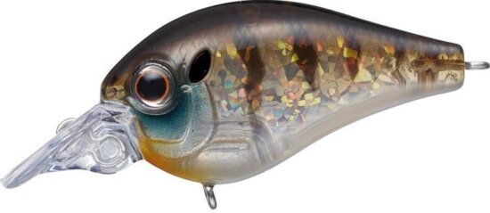 Evergreen Piccolo Dive Shallow 4cm 6.4g #246 Child Gill