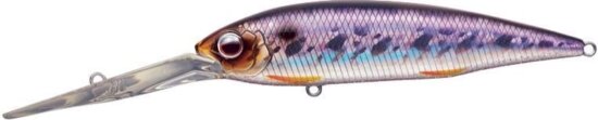 Evergreen Gold Digger 600 11.0cm 32.5g #209 Hologram Wakasagi