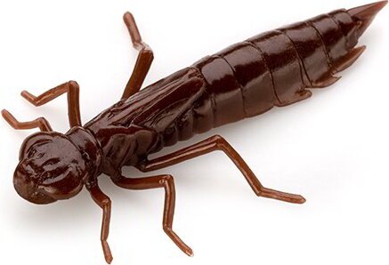 FISHUP Dragonfly 1.7" (8pcs.), #012 - Chaos