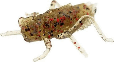 FISHUP Dragonfly 0.75" (12pcs.), #045 - Green Pumpkin/Red & Black