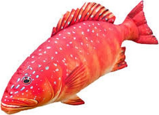 Pillow The Coral Trout 81 Cm