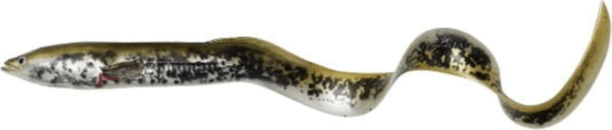 Savage Gear LB REAL EEL B 15CM 12G LAMPREY PHP 30PCS gumihal
