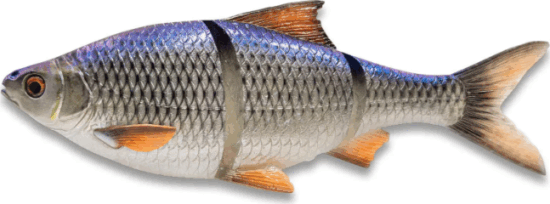 Savage Gear 3D LT ROACH 18CM 80G SS BLUE ROACH gumihal