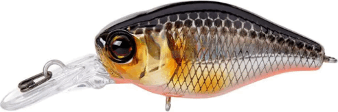 Jackall Chubby 38F MR - HL Silver & Black