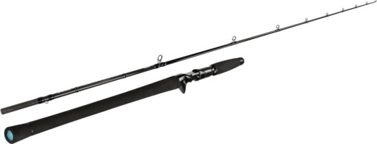 Sportex Black Arrow G4musky Baitcast 260cm 300g