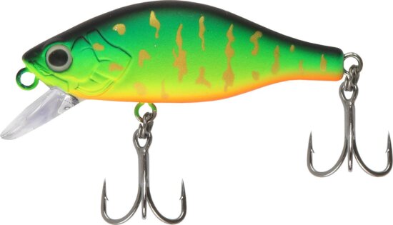 Reiva Fat Minnow 50 - Golden Tiger