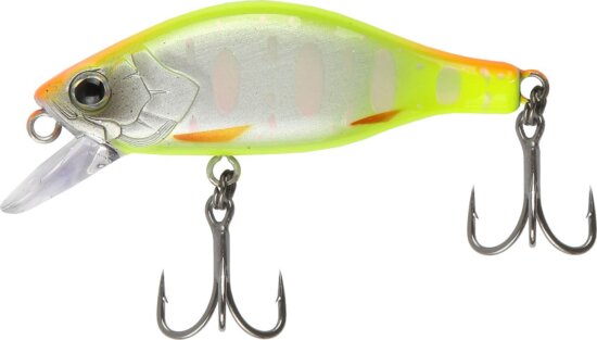 Reiva Fat Minnow 40 - SFC Special