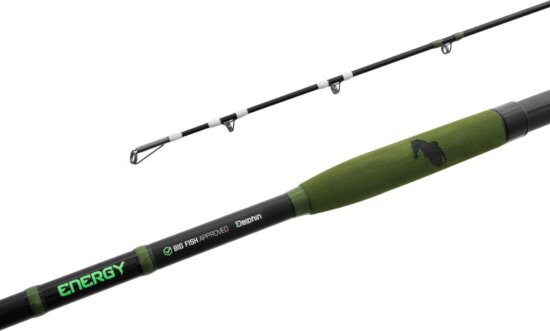 Delphin ENERGY Catfish 250cm 250-500g