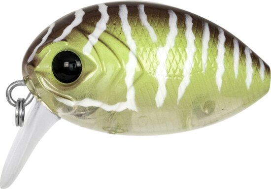 Predator-Z UL Bug wobbler, 3,2cm, 3,5g, fekete, zöld, úszó