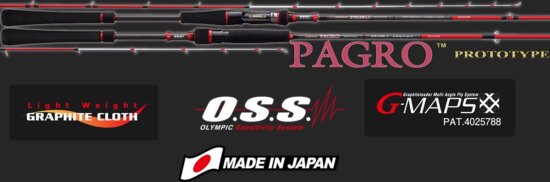 Graphiteleader Nouvo Pagro Cast Gnpc-6102L-S R Fast 2.05m Max 100g