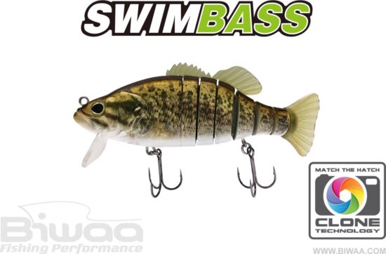 Biwaa Swimbass 6" Slow Sink 15cm 65g 35 Smallie